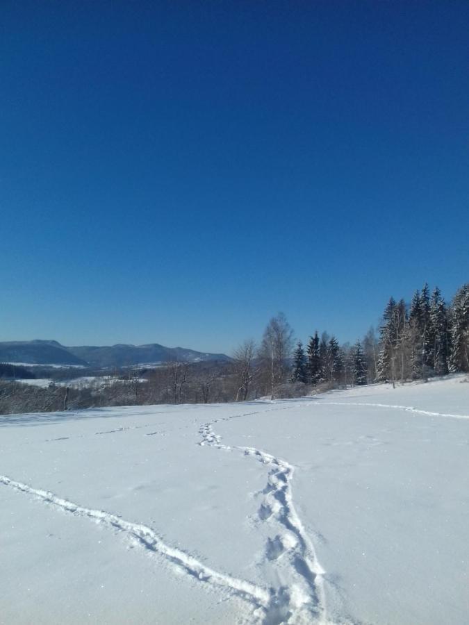 Dziki Domek Sierpnica Екстериор снимка
