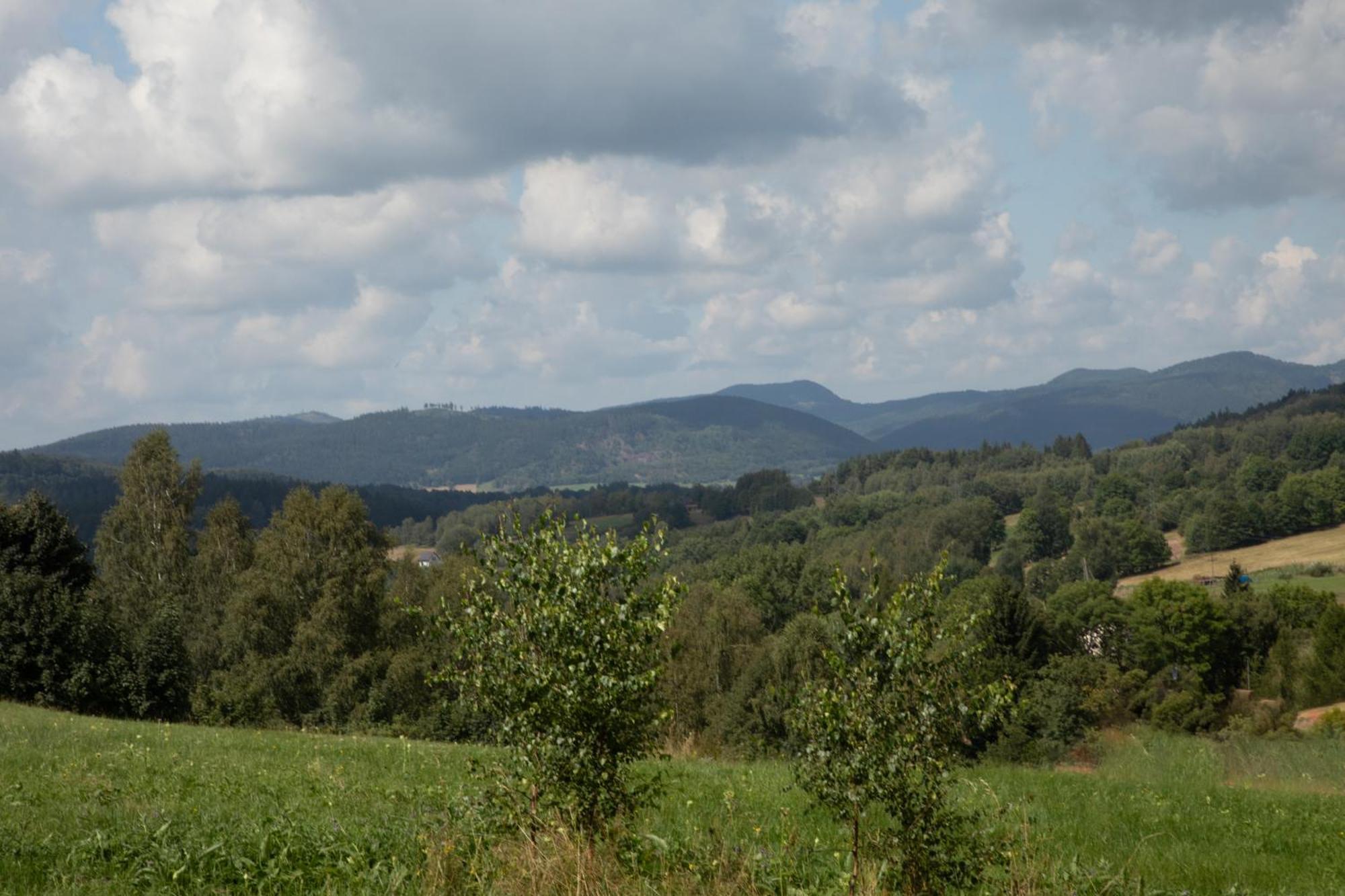 Dziki Domek Sierpnica Екстериор снимка